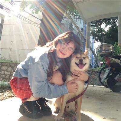机器猛犬
