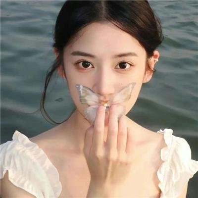 鸡毛梦想